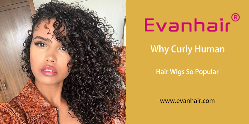 curly hair wigs, short curly bob wigs, human hair afro wigs, short curly wigs, long curly wigs, Brazilian curly lace front wig, curly lace front lace closure wig