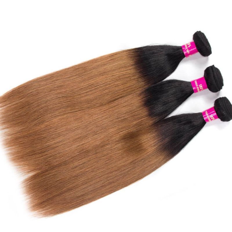 Ombre Hair T1B 30 Color Evan Hair Brazilian Straight Hair Bundles With ...